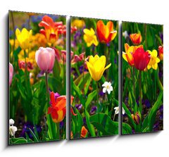 Obraz 3D tdln - 105 x 70 cm F_BB22368524 - Sea of flowers