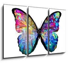 Obraz   multicolored butterfly isolated on white background, 105 x 70 cm