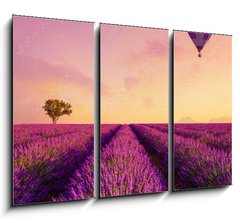 Obraz 3D tdln - 105 x 70 cm F_BB226739623 - Lavender field rows at sunrise and hot air baloon France Provence
