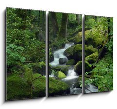 Obraz 3D tdln - 105 x 70 cm F_BB23470543 - Mossy waterfall