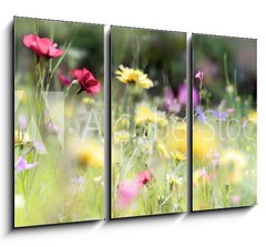 Obraz 3D tdln - 105 x 70 cm F_BB236066014 - wildblumenwiese natur banner pastell