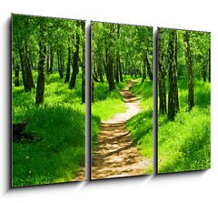 Obraz 3D tdln - 105 x 70 cm F_BB23843202 - green forest