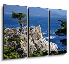 Obraz 3D tdln - 105 x 70 cm F_BB23885675 - The Lone Cypress in Pebble Beach, 17 Mile Drive, Monterey