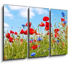 Obraz 3D tdln - 105 x 70 cm F_BB23892444 - blumenwiese