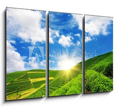 Obraz 3D tdln - 105 x 70 cm F_BB23924390 - Beautiful pattern of bright, green tea garden on the hill