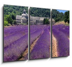 Obraz 3D tdln - 105 x 70 cm F_BB23986776 - France - Paca - Abbaye de Senanque