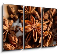Obraz 3D tdln - 105 x 70 cm F_BB240365713 - Badiane / Anis toil