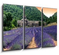 Obraz 3D tdln - 105 x 70 cm F_BB24141641 - France - Paca - Abbaye de Senanque