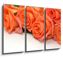 Obraz 3D tdln - 105 x 70 cm F_BB24150167 - Rosen
