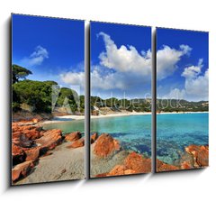 Obraz 3D tdln - 105 x 70 cm F_BB24170972 - plage