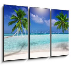 Obraz   Traumstrand in den Tropen mit trkisem Meer, Kokosnusspalmen und feinem Sand, 105 x 70 cm