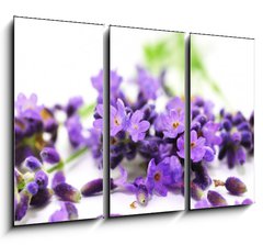 Obraz 3D tdln - 105 x 70 cm F_BB24305034 - Aroma, Lavendel