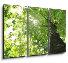 Obraz 3D tdln - 105 x 70 cm F_BB24415772 - The natural