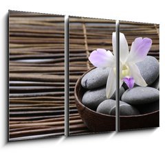Obraz 3D tdln - 105 x 70 cm F_BB24429510 - Purple orchids in wooden bowl