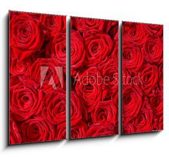 Obraz 3D tdln - 105 x 70 cm F_BB24548244 - Rote Rosen, Symbol f r Liebe, Rosenstrau 