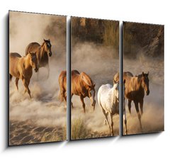Obraz 3D tdln - 105 x 70 cm F_BB2467066 - wild horses running