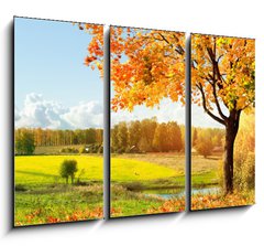 Obraz   Autumn at the morning park, 105 x 70 cm