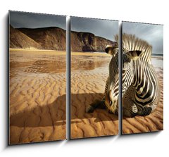 Obraz 3D tdln - 105 x 70 cm F_BB25254470 - Beach Zebra