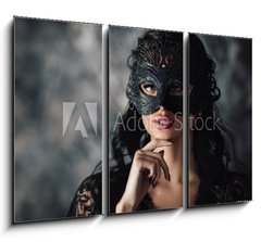 Obraz 3D tdln - 105 x 70 cm F_BB254214025 - portrait of sexy beautiful woman in lace black erotic lingerie and carnival mask on dark background