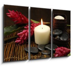 Obraz 3D tdln - 105 x 70 cm F_BB25459715 - spa and wellness concept with flowers zen stones