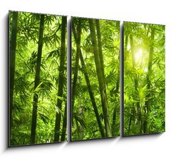 Obraz 3D tdln - 105 x 70 cm F_BB25655777 - Bamboo forest.