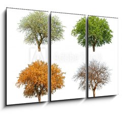 Obraz 3D tdln - 105 x 70 cm F_BB25711351 - season