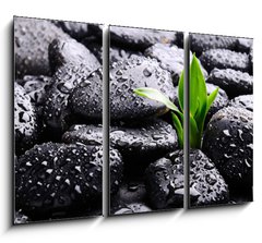 Obraz 3D tdln - 105 x 70 cm F_BB25878336 - Spa concept
