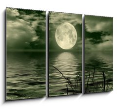 Obraz   Full moon image with water, 105 x 70 cm