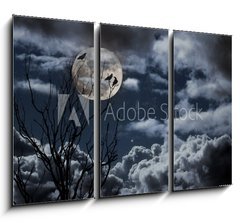 Obraz 3D tdln - 105 x 70 cm F_BB26290329 - Full moon