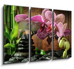 Obraz 3D tdln - 105 x 70 cm F_BB26295385 - Spa