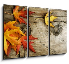 Obraz 3D tdln - 105 x 70 cm F_BB26583135 - Autumn Leaves over wood background.With copy space