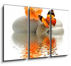 Obraz 3D tdln - 105 x 70 cm F_BB26634313 - Papillon galet