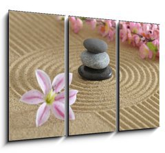 Obraz 3D tdln - 105 x 70 cm F_BB26707926 - zen garten - Zenov zahrada