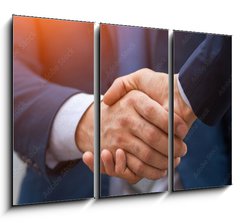 Obraz   Two business people shaking hands, businessman, hand, 105 x 70 cm