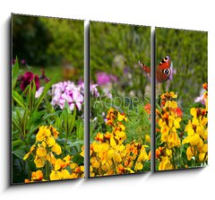 Obraz 3D tdln - 105 x 70 cm F_BB270234629 - Schmetterling 578