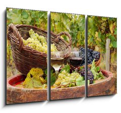 Obraz 3D tdln - 105 x 70 cm F_BB27521163 - vineyard with red and white wine - vinice