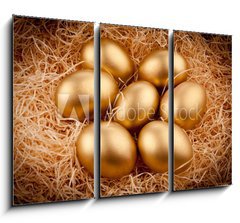 Obraz 3D tdln - 105 x 70 cm F_BB27774128 - Golden eggs - Zlat vejce