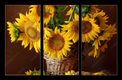 Obraz   sunflover, 105 x 70 cm