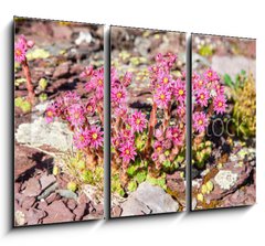 Obraz 3D tdln - 105 x 70 cm F_BB280902351 - Berg