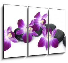 Obraz 3D tdln - 105 x 70 cm F_BB28681934 - Spa essentials-orchid with pyramid of stones