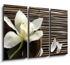 Obraz 3D tdln - 105 x 70 cm F_BB28682309 - bowl of orchid, petal on bamboo mat