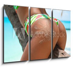 Obraz 3D tdln - 105 x 70 cm F_BB286853872 - Outdoor Closeup of Fit buttocks. Fitness woman on a palm tree. Sexy Ass over exotic beach. Sporty concept. Summertime vacation.