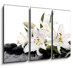 Obraz 3D tdln - 105 x 70 cm F_BB28705565 - madonna lily and spa stone