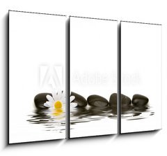 Obraz 3D tdln - 105 x 70 cm F_BB2881748 - spa stones and daisy