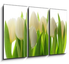 Obraz 3D tdln - 105 x 70 cm F_BB28819889 - Tulips