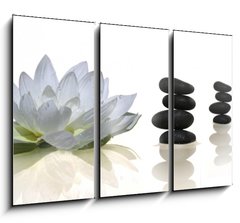 Obraz 3D tdln - 105 x 70 cm F_BB2900573 - espace zen