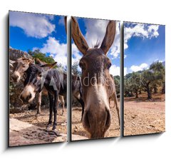 Obraz 3D tdln - 105 x 70 cm F_BB290191990 - Majorka