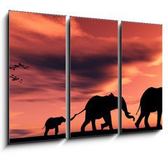 Obraz 3D tdln - 105 x 70 cm F_BB2914279 - family of elephants - rodina slon