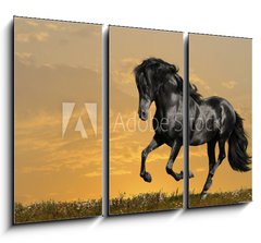 Obraz 3D tdln - 105 x 70 cm F_BB29158232 - black horse runs gallop