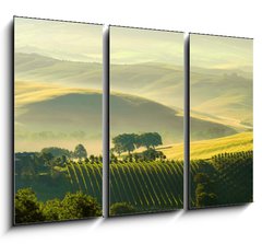 Obraz   Toskana Huegel  Tuscany hills 38, 105 x 70 cm